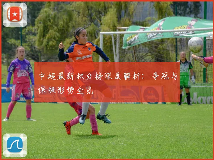 中超最新积分榜深度解析:争冠与保级形势全览